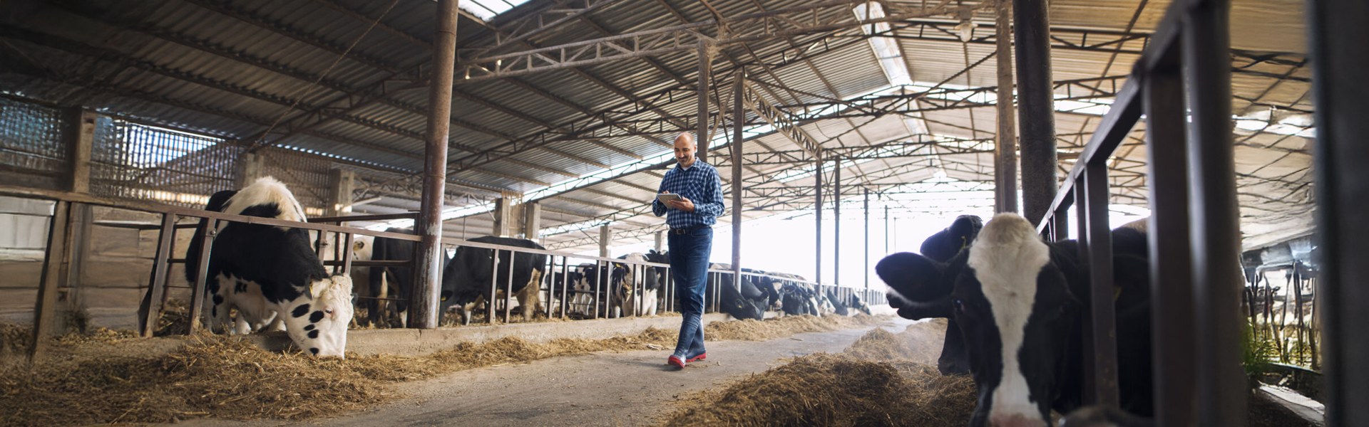 Matériel élevage dans le 35 - ETABLISSEMENTS LEFORT